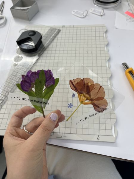 File:Laminated flowers.jpg